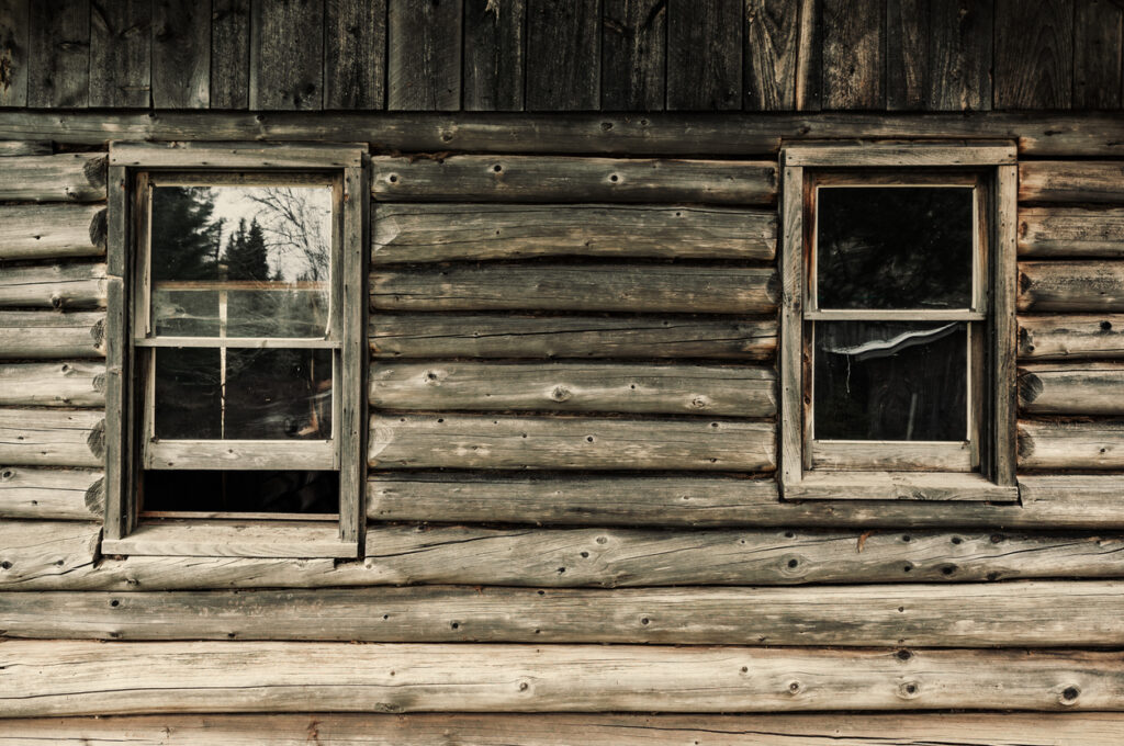 Rustic log home wall with wooden texture and vintage charm